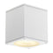 SLV Lighting 2229551U Big Theo Ceiling Out Outdoor Ceiling Lamp, White