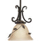 Progress Lighting P5077-77 1-Lt. mini-pendant EdenCollection