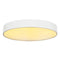 SLV Lighting Medo Led Ceiling Or Wall Mount