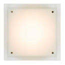 SLV Lighting 7711213U Glassa Square LED Wall/Ceiling Lamp