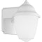 Progress Lighting P5844 White Outdoor 1-Light Plastic Wall Lantern with White Acrylic Glass