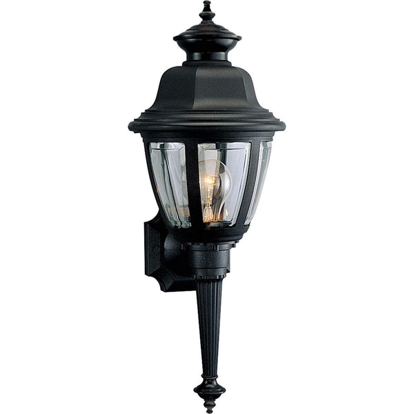 Progress Lighting P5738 Non-Metallic 1 Light 21" Tall Outdoor Wall Sconce with C, Black