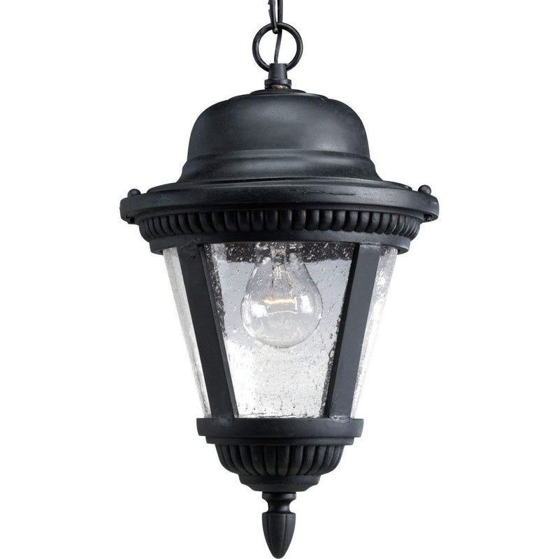 Progress Lighting P5530-20 1-Light Hanging Lantern