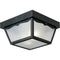 Progress Lighting P5745-Non-Metallic Ceiling Light with 1-Piece White Acrylic Diffuser