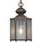 Progress Lighting P5779-19 Lantern with Clear, Seeded Glass Chain and Ceiling Mounts Both Included, Roman Bronze