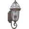 Progress Lighting P5839-33 Wall Lantern with Clear Glass In Hand-Painted Framework, Cobblestone