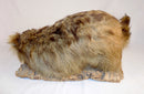 USED: ANTIQUE TAXIDERMY MOUNTED LOUISIANA BLONDE RACCOON