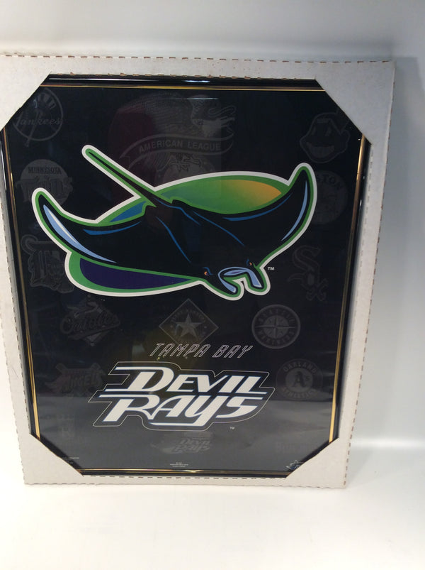 Tampa Bay Devil Rays framed pic